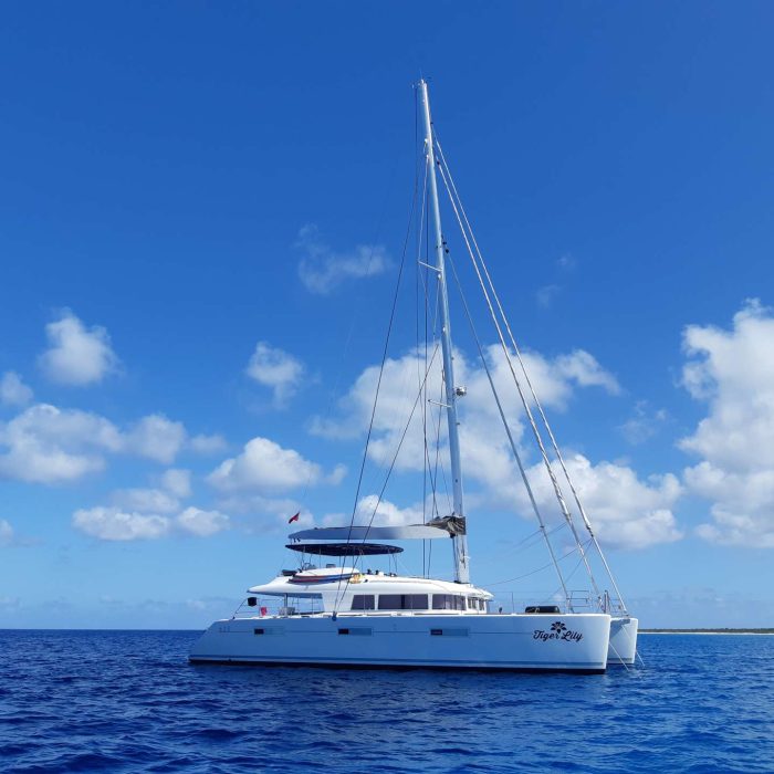 Dawe Yachts-barcos-catamaran-Tiger Lily